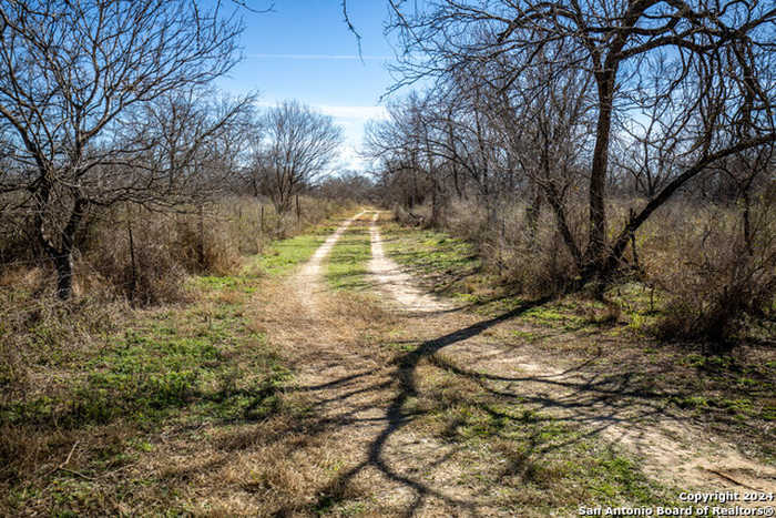 photo 1: 17001 FM 140, Pearsall TX 78061