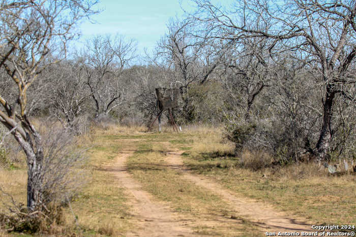 photo 2: 17001 FM 140, Pearsall TX 78061