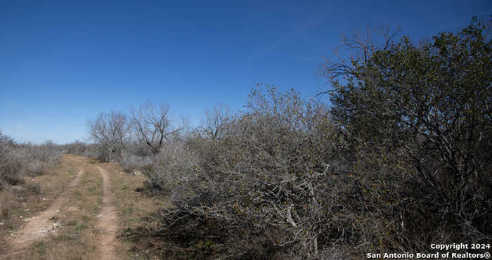 photo 2: 17001 Fm 140, Pearsall TX 78061