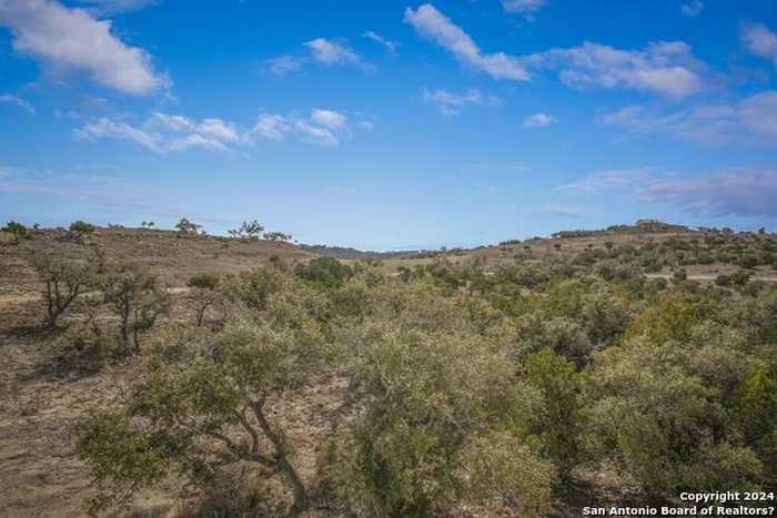 photo 46: 585 N Scenic Hills Ct, Blanco TX 78606