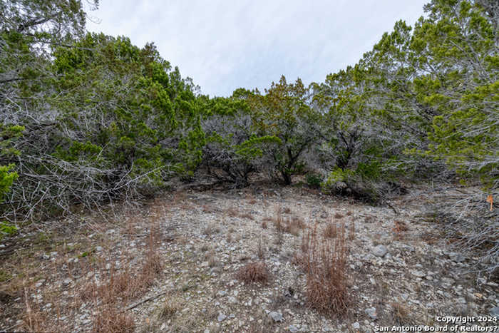 photo 2: LOT 105 Quarry Road, Brackettville TX 78832