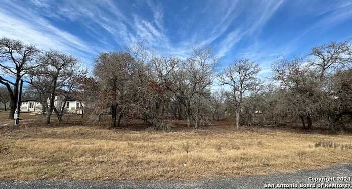 photo 2: 200 CIBOLO WAY, La Vernia TX 78121