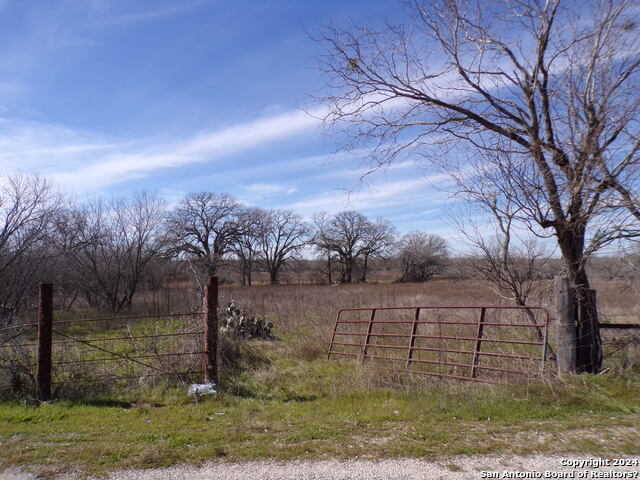 photo 1: 0 TBD S STATE HIGHWAY 123/Fox Trotter, Seguin TX 78155