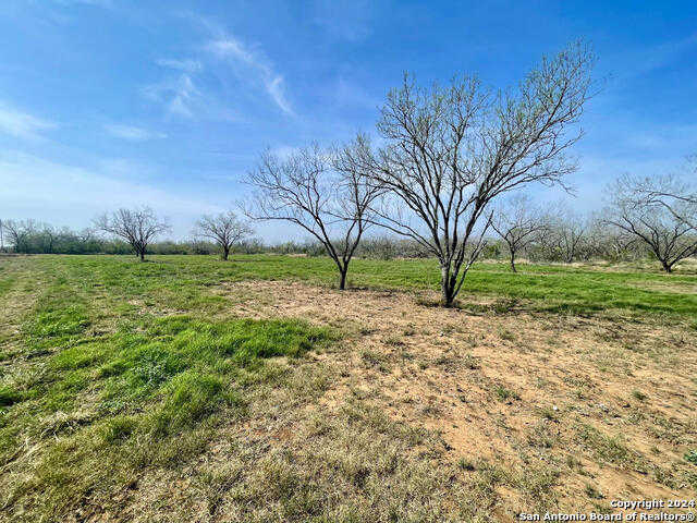 photo 3: TRACT 8 FM 1332, Jourdanton TX 78026