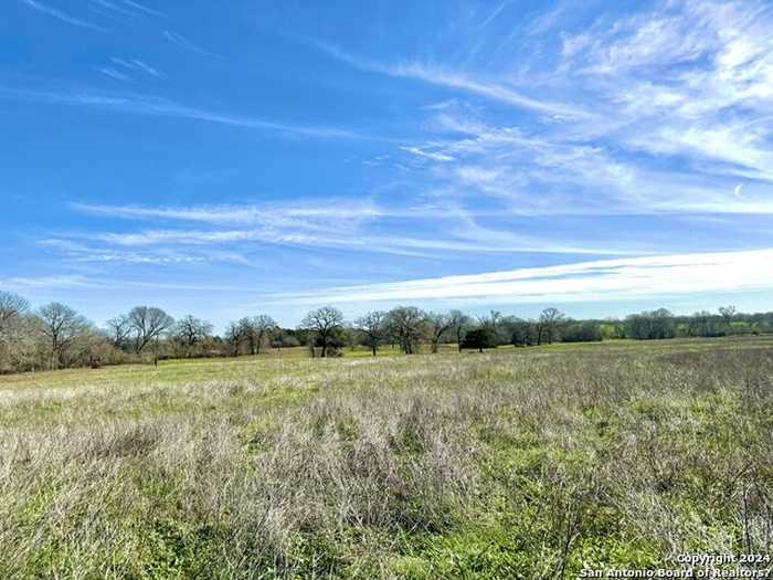 photo 4: 6495 GANDER SLOugh, Kingsbury TX 78638