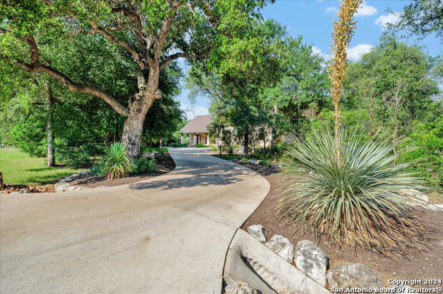 photo 2: 955 RIVERFOREST DR, New Braunfels TX 78132