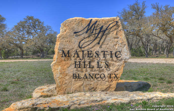 photo 2: 466 Majestic Oak, Blanco TX 78606