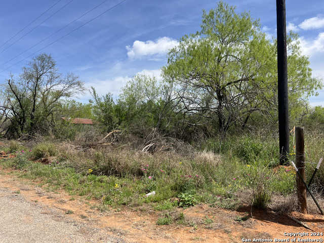 photo 3: 3410 County Road/Sixth Avenue, Pearsall TX 78061