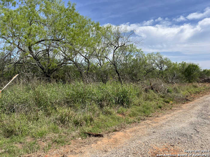 photo 6: 3410 County Road/Sixth Avenue, Pearsall TX 78061