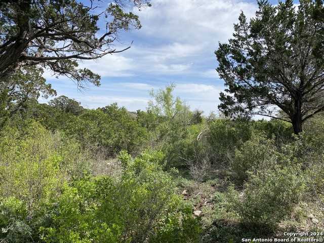 photo 3: LOT 32 PR 2775, Mico TX 78056