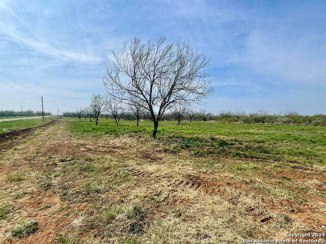 photo 2: TRACT 1 FM 1332, Jourdanton TX 78026