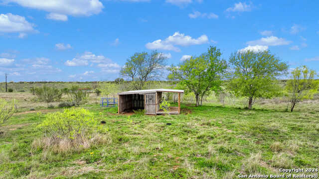 photo 3: 4742 CR 132, Floresville TX 78114