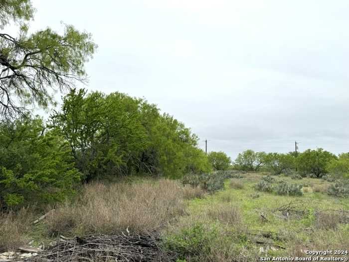 photo 12: TBD FM 1582, Pearsall TX 78061