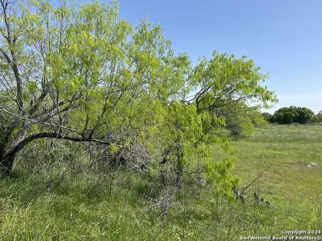 photo 3: TBD County Road 342, La Vernia TX 78121