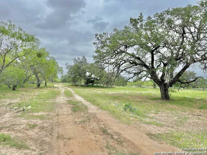 photo 2: 177.9 AC CR 7711, Devine TX 78016