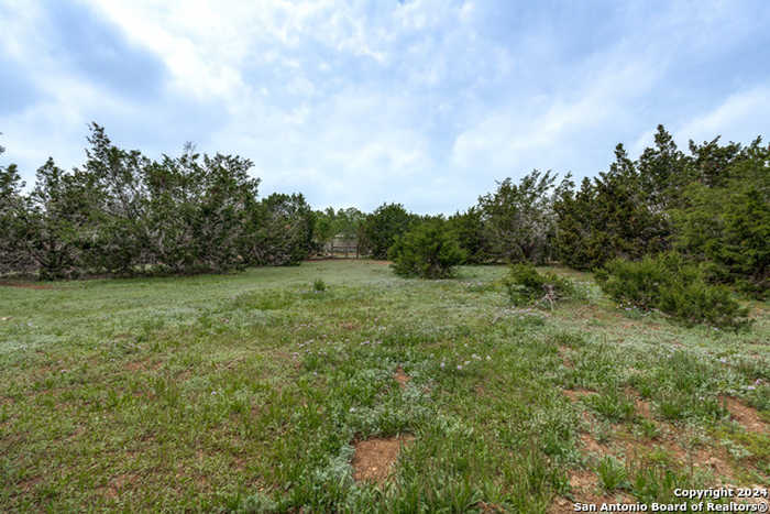 photo 40: 198 Whitmire Dr, Blanco TX 78606