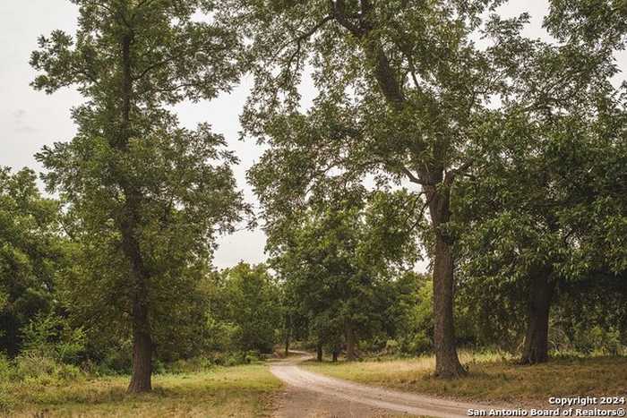 photo 23: 101 WARD RD, Brackettville TX 78832