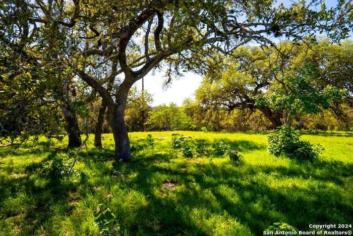 photo 1: 98 SABINAS RIDGE RD, Boerne TX 78006