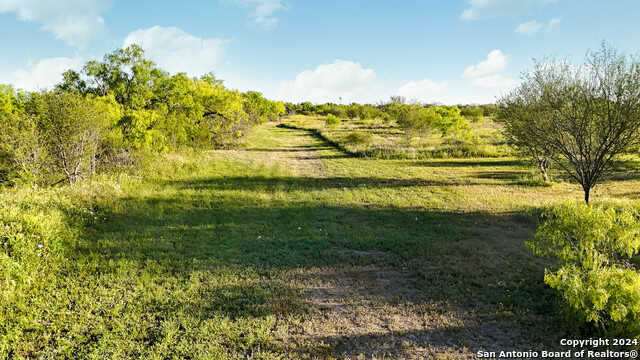 photo 2: CR 5719, Devine TX 78016