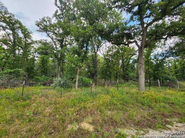 photo 1: 1247 Vivroux Ranch Road, Seguin TX 78155