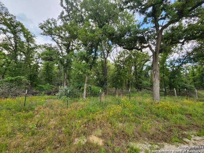 photo 1: 1247 Vivroux Ranch Road, Seguin TX 78155