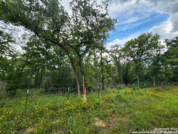 photo 2: 1247 Vivroux Ranch Road, Seguin TX 78155