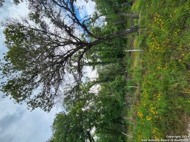 photo 3: 1247 Vivroux Ranch Road, Seguin TX 78155