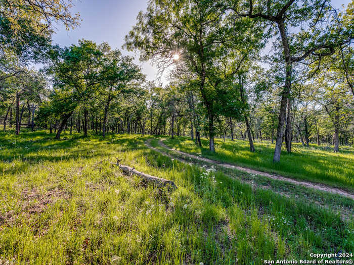 photo 36: 2390 VIVROUX RANCH RD, San Antonio TX 78155