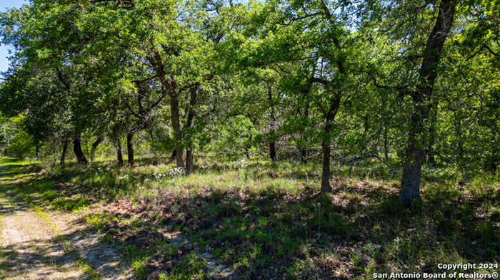 photo 16: 424 TOWER RD, Seguin TX 78155