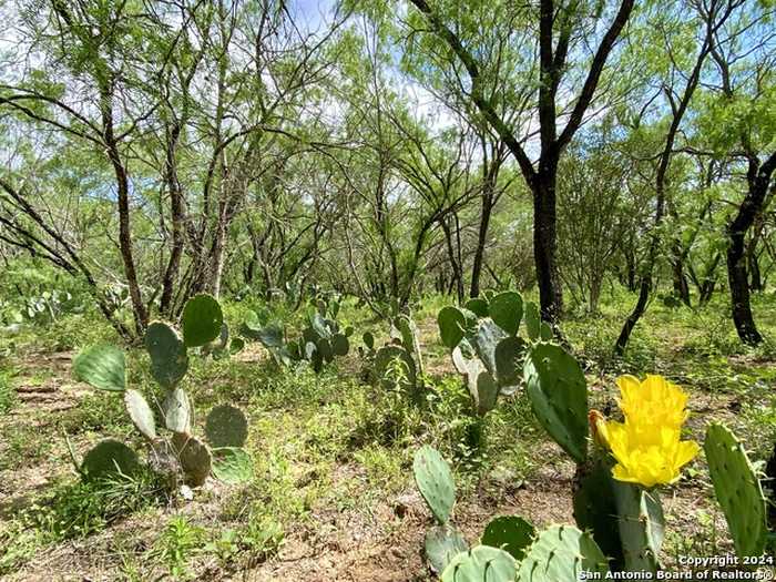 photo 2: TBD Dairy Road, Pleasanton TX 78064