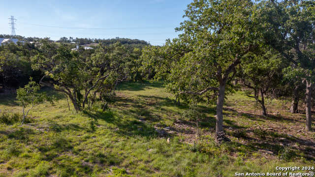 photo 3: 739 MAXIMINO RIDGE RD, Bulverde TX 78163