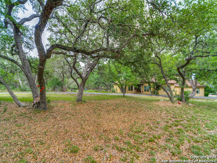 photo 2: 27622 RANCH CREEK, Boerne TX 78006