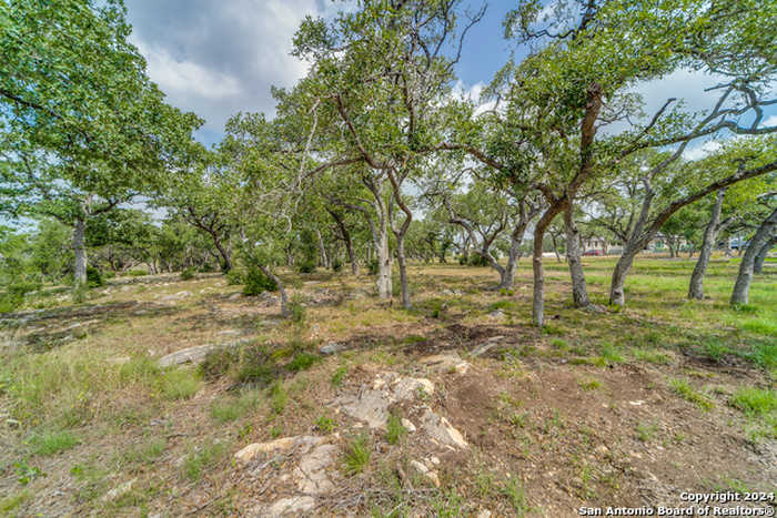 photo 2: 723 post oak ridge, Bulverde TX 78163