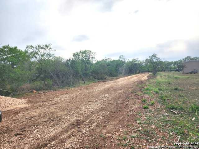 photo 3: 124 Turkey Gulch, Pleasanton TX 78064