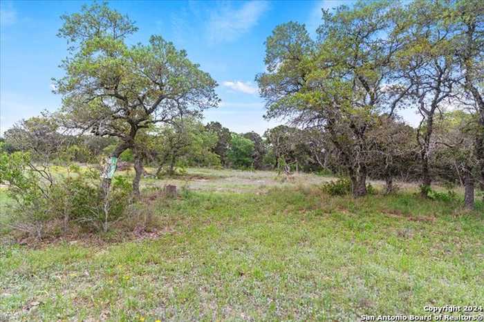 photo 9: 1147 Taylor Ranch Rd, Blanco TX 78606