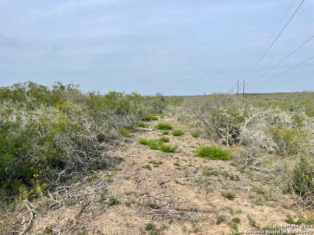 photo 3: TRACT 14 & 15 CR 1515, Moore TX 78057