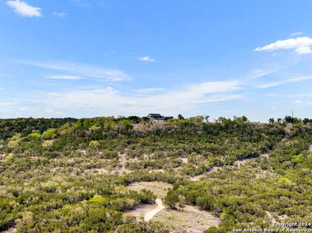 photo 2: 689 LOT 11 Fm 289, Comfort TX 78013