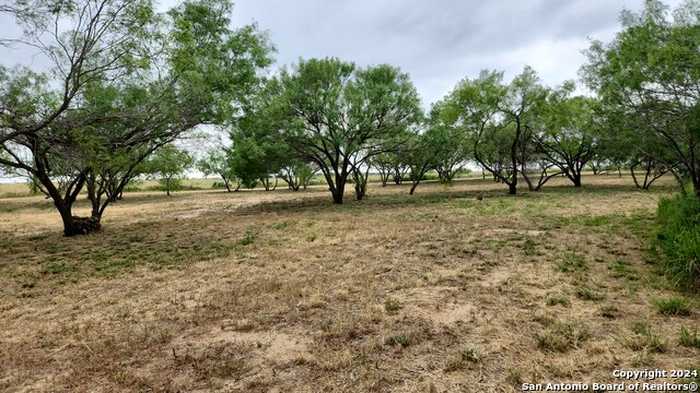 photo 12: 1848 County Road 2557, Moore TX 78057