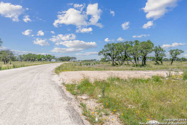 photo 2: 100 Spring Crossing, Junction TX 76849