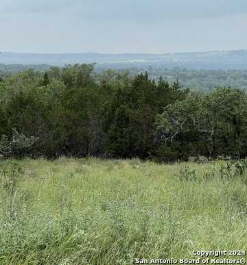 photo 3: 23 Lipan Apache Run, Blanco TX 78606