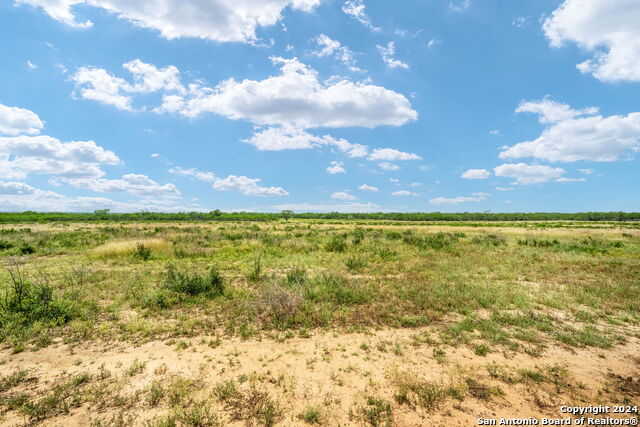 photo 2: FM 1332, Jourdanton TX 78026