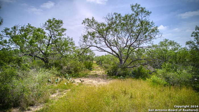 photo 41: 5230 FM 1332, Jourdanton TX 78026