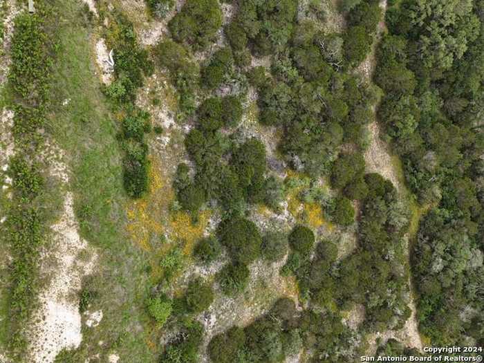 photo 5: LOT 3 PR 2775 PR 2775, Mico TX 78056