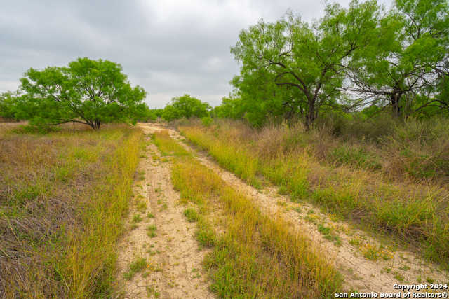 photo 3: 16131 El Indio HWY, El Indio TX 78852