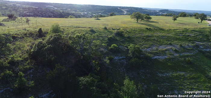 photo 10: 390 Scenic Hills, Blanco TX 78606