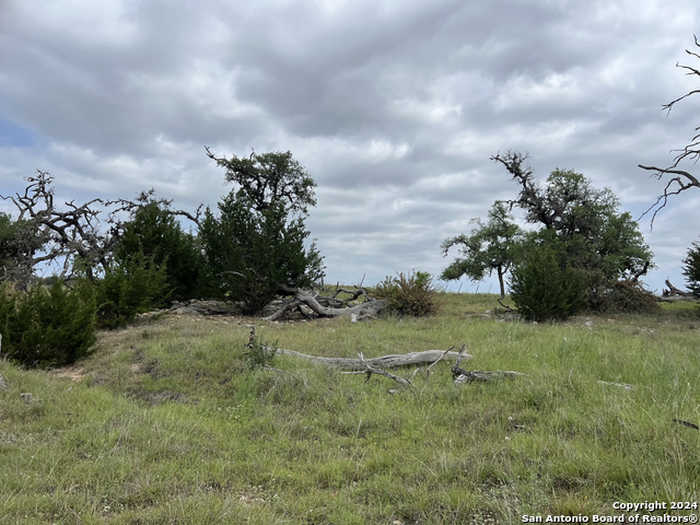 photo 6: US Highway 289, Comfort TX 78013