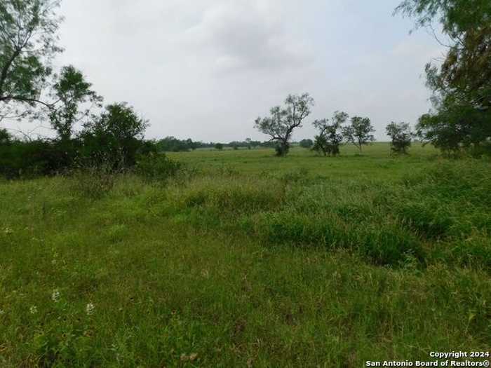 photo 17: TBD County Road 2530, Moore TX 78057