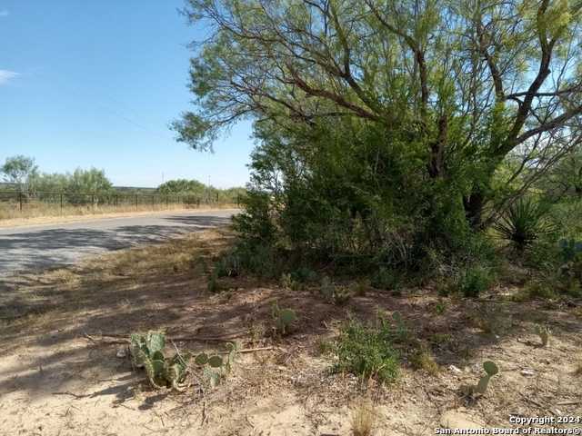 photo 3: 393 COUNTY ROAD 1629, Moore TX 78057