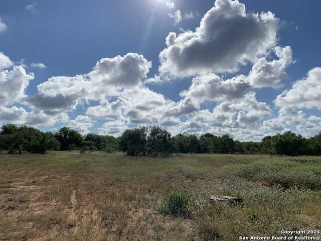 photo 1: 925 Prue Lane, Moore TX 78057