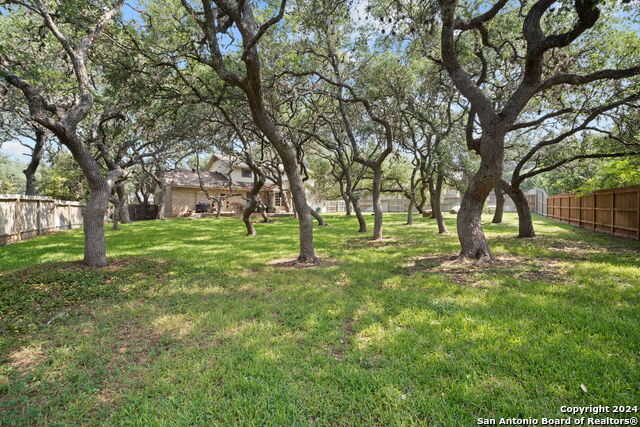 photo 3: 3506 HUNTERS CIR, San Antonio TX 78230